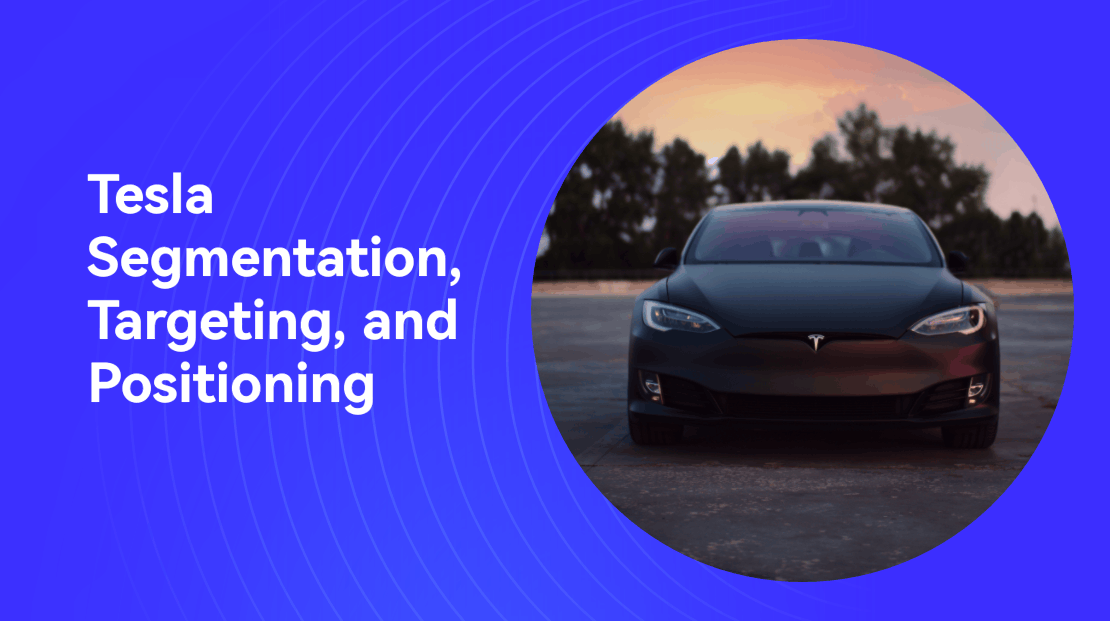 Tesla Segmentation, Targeting, and Positioning