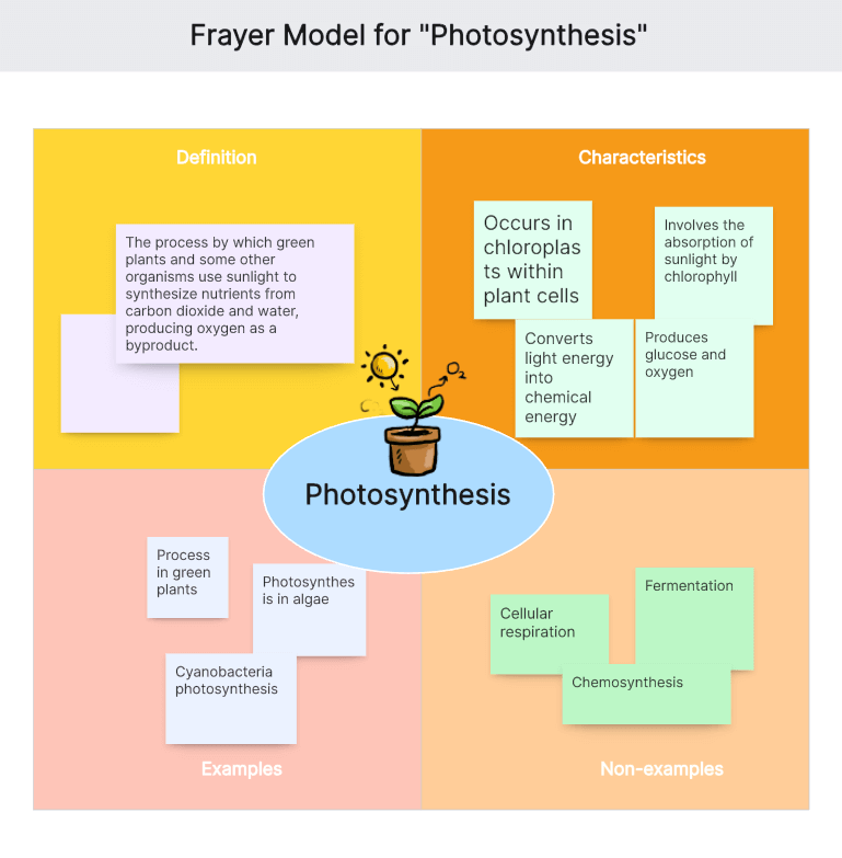 Frayer-Model-for-Photosynthesis