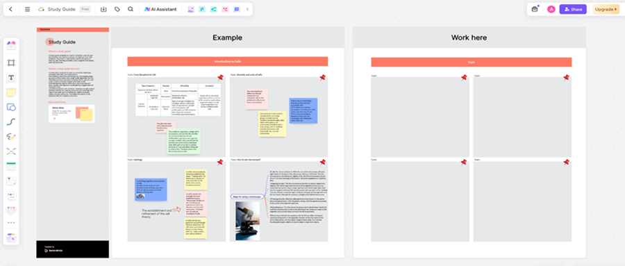 How to Make Study Guide: Examples and Templates