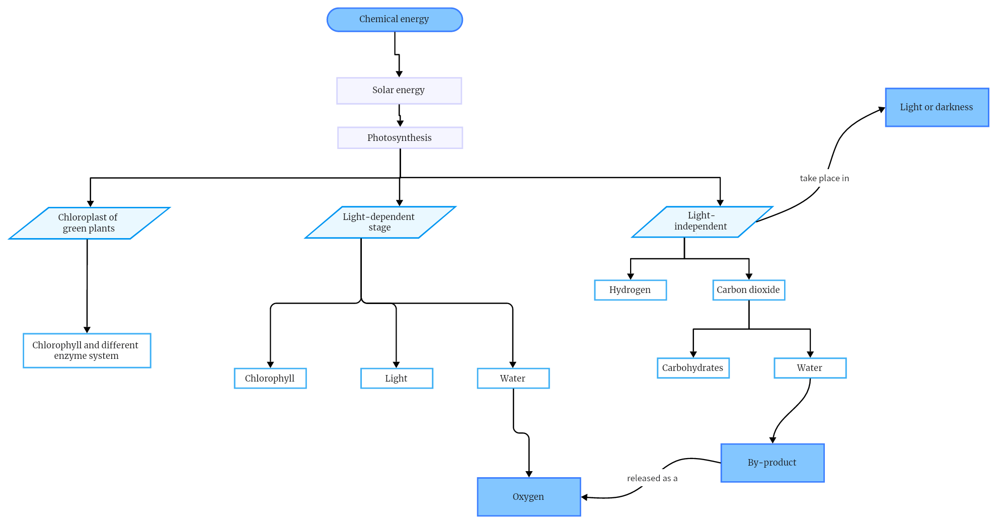 A-photosynthesis-process-diagram-example