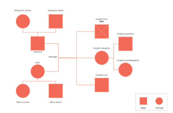 How to fill out pedigree chart  Pedigree chart, Family tree chart