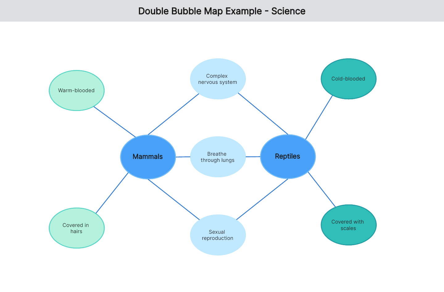 double-bubble-map-example-04
