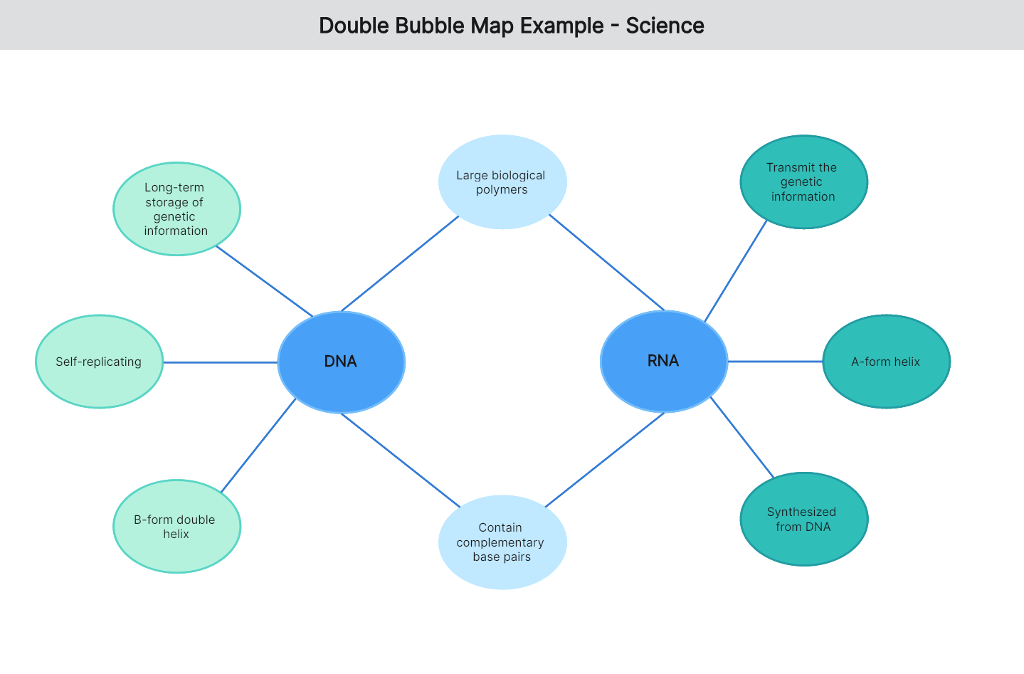 double-bubble-map-example-06