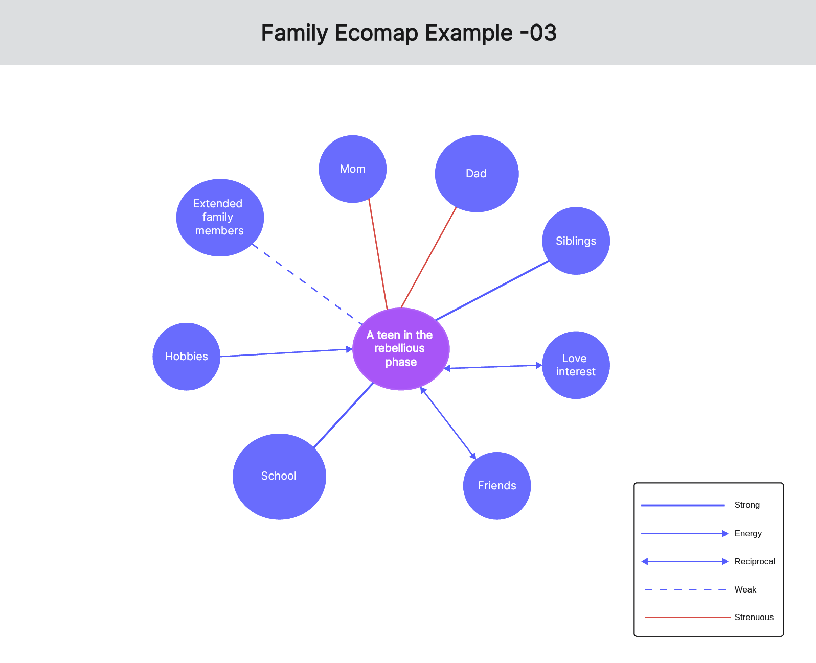 family-ecomap-examples-05