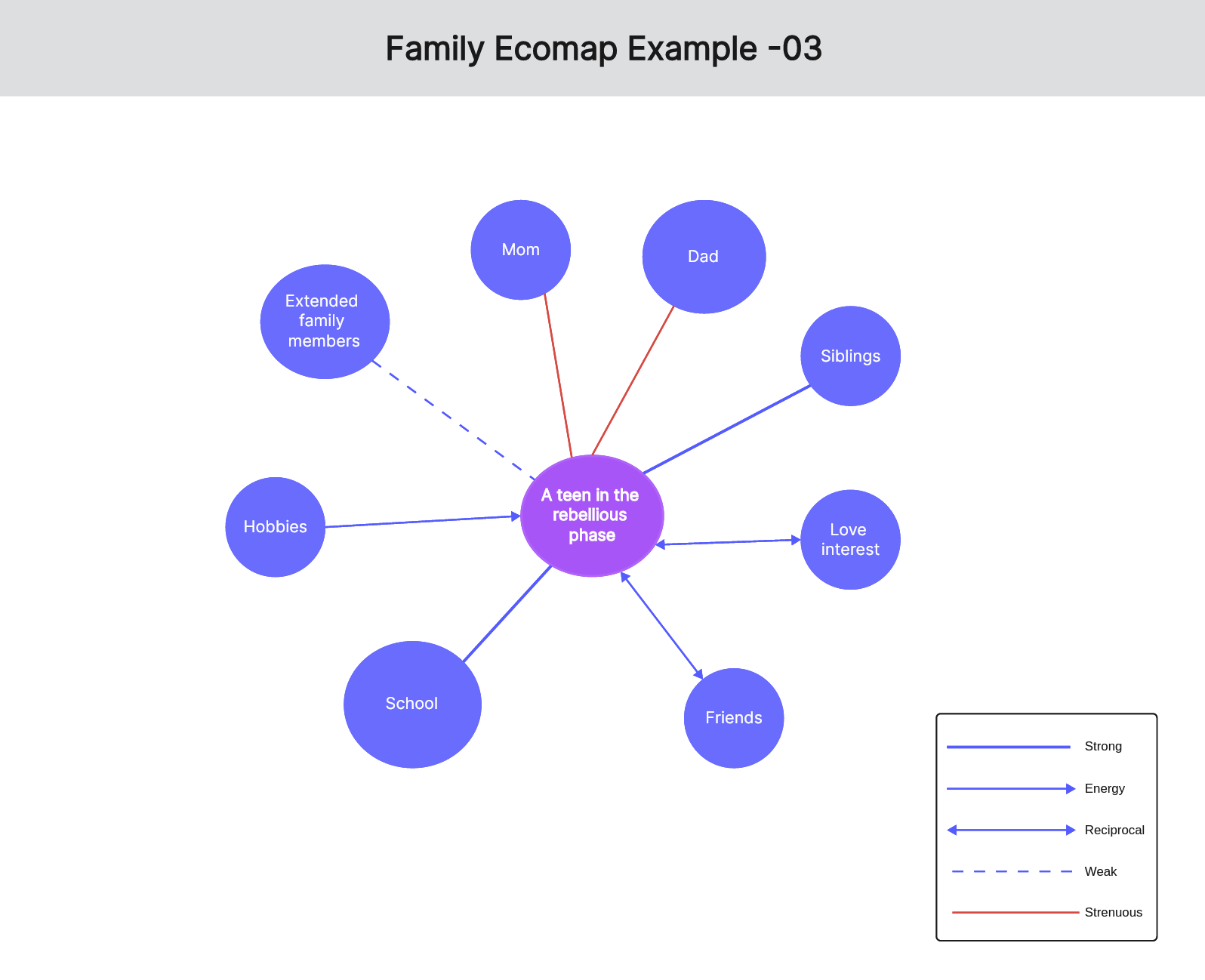 a-guide-to-the-family-ecomap-with-examples