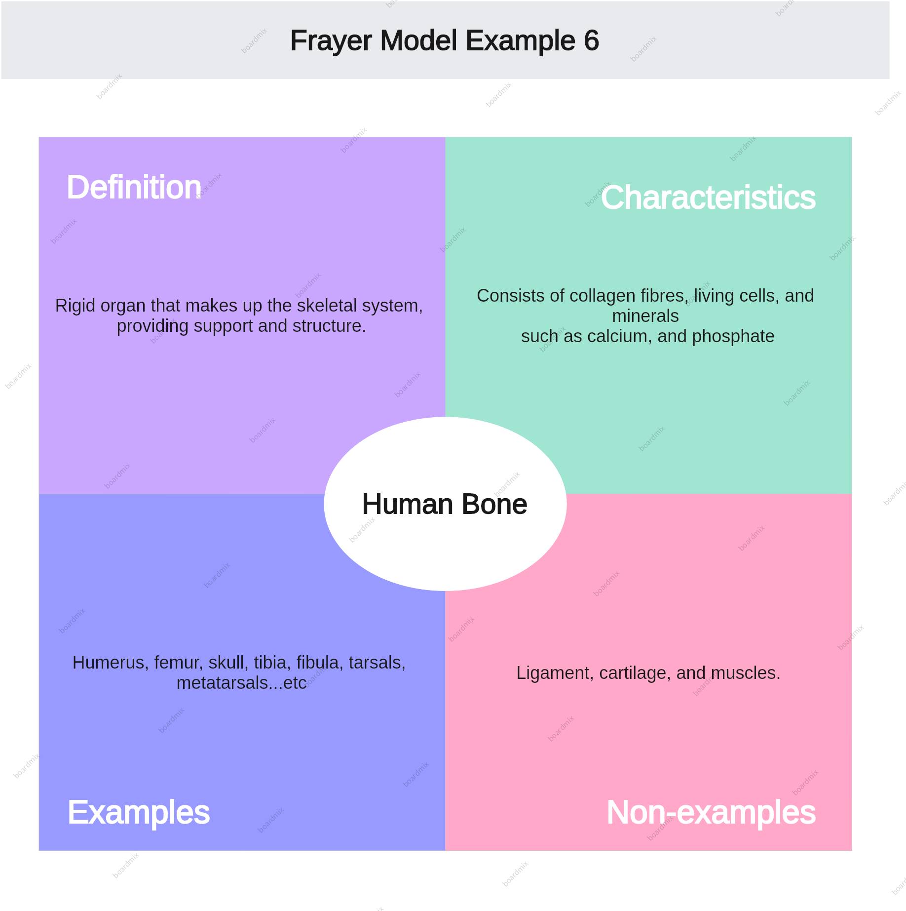 frayer-model-example-6
