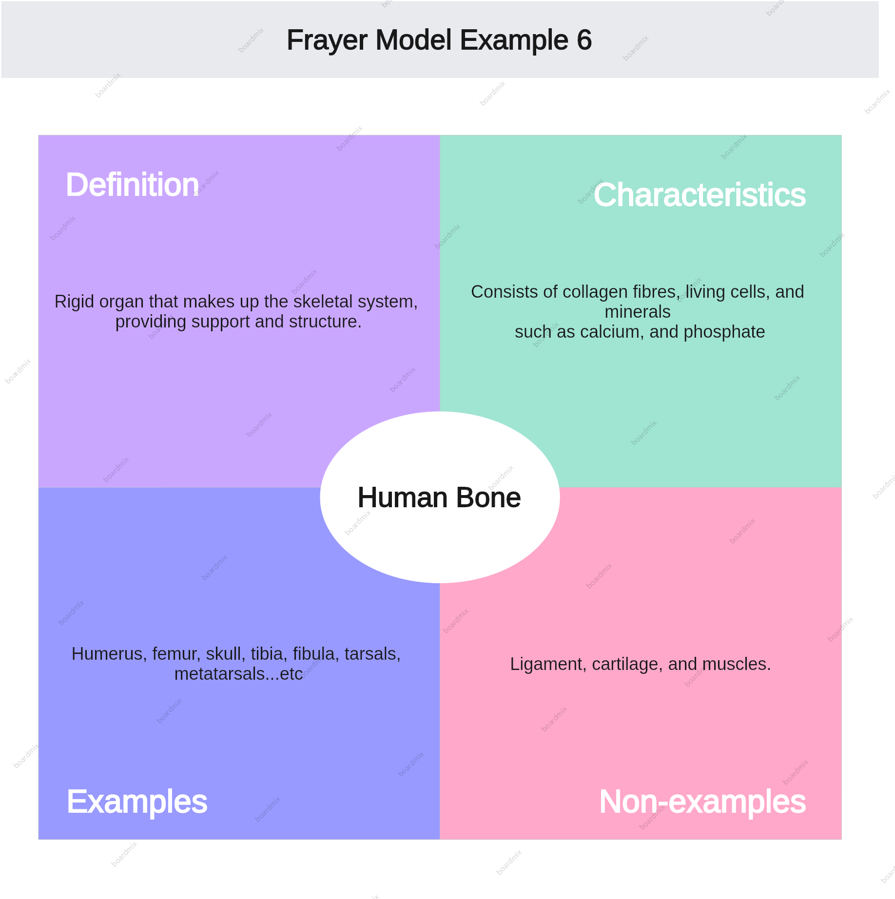 Everything About Frayer Model Examples Included