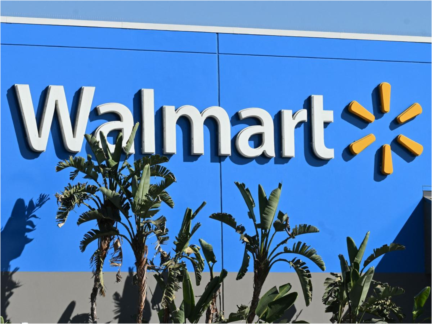 introduction-to-walmart