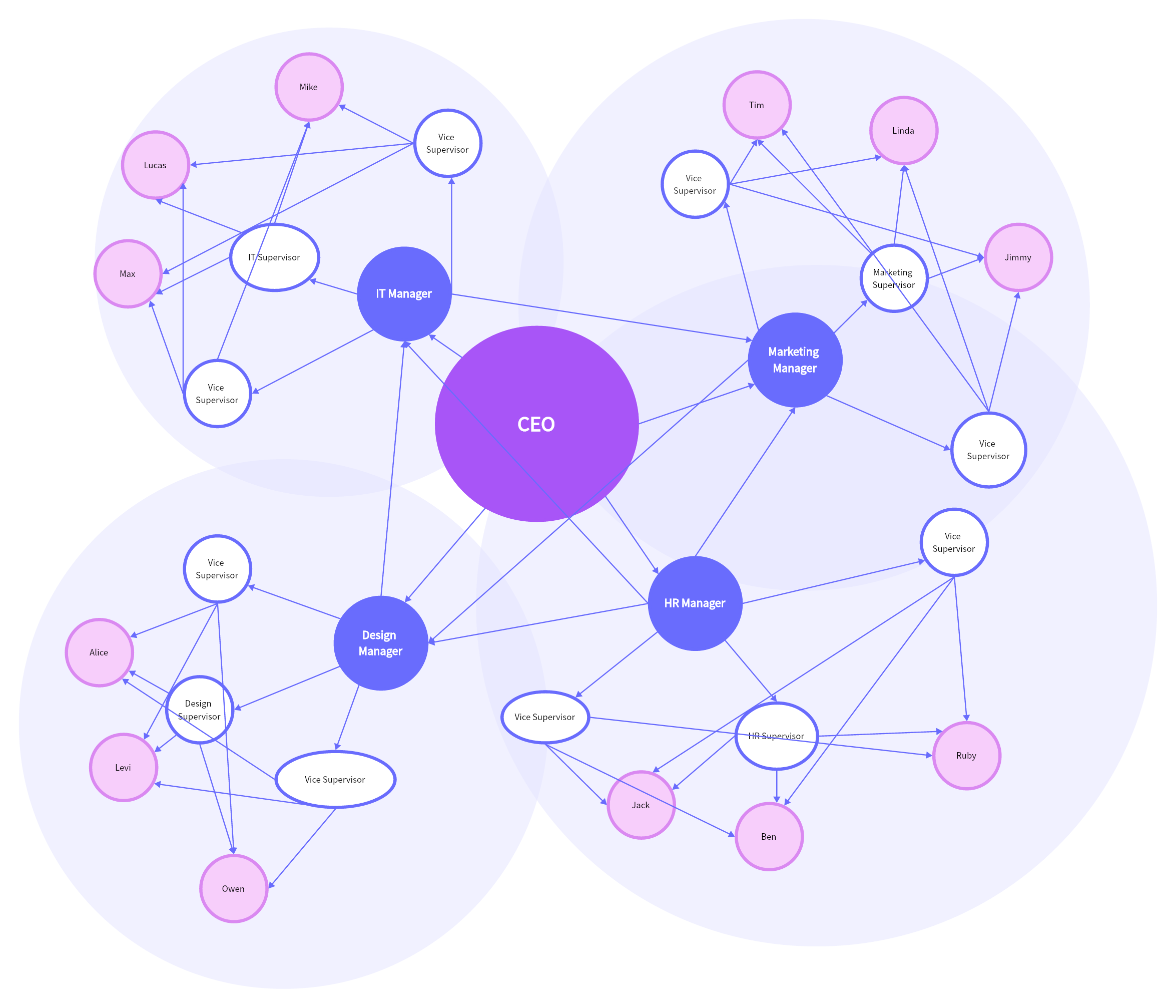 Network Organizational Structure Example