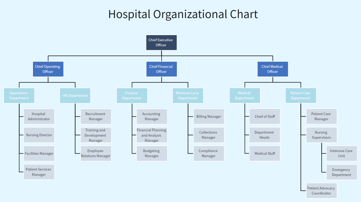 hospital-organizational-chart