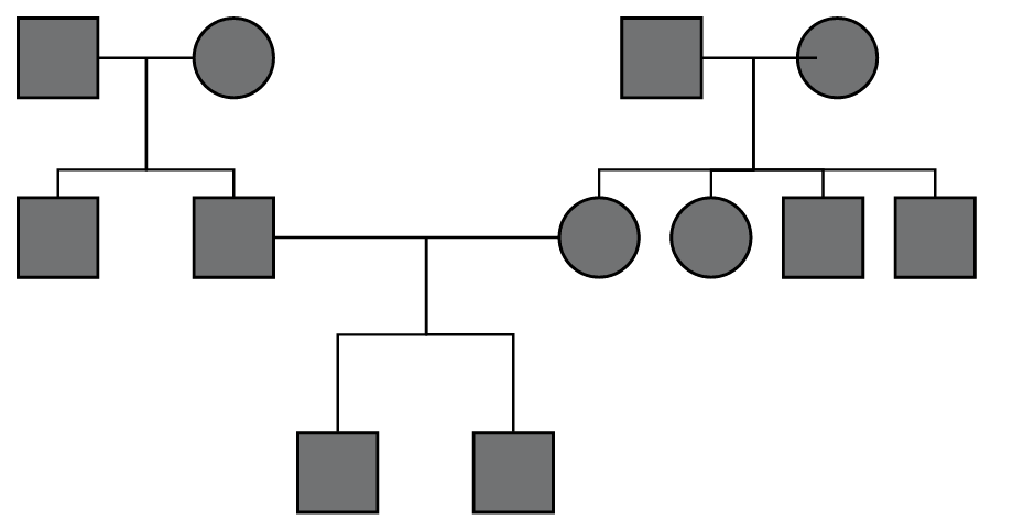 what-is-a-genogram