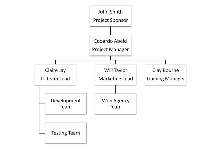 what is a project organization chart