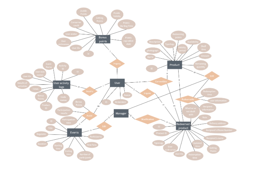 Points System ER Diagram