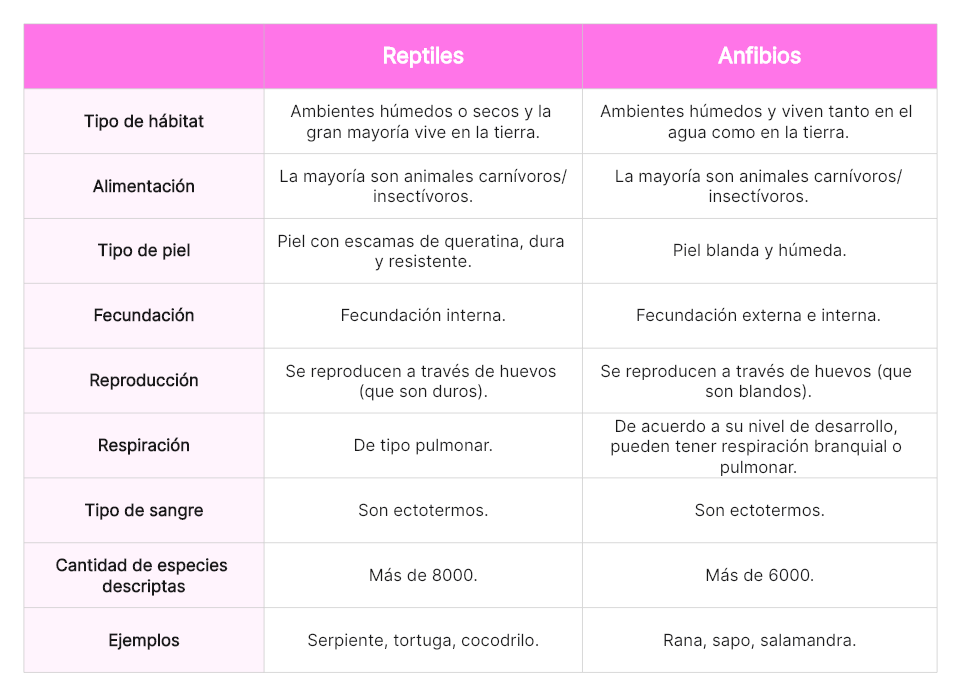 Cuadro comparativo de reptiles y anfibios