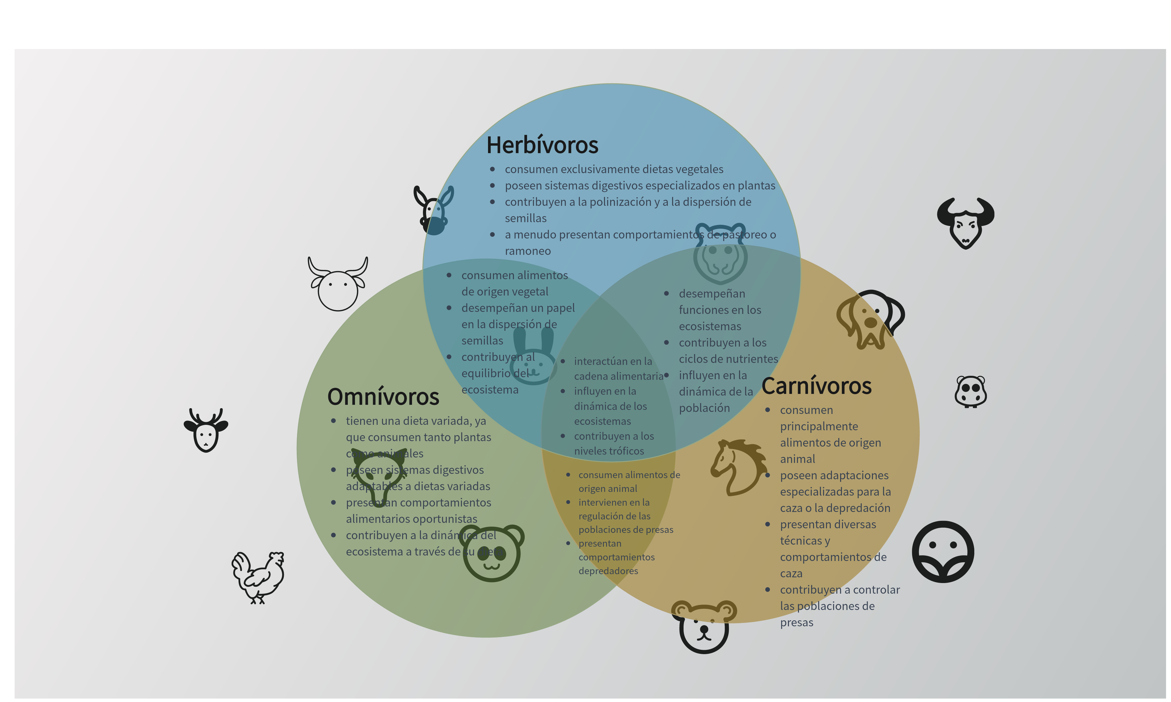 Ejemplo de diagrama de Venn en zoología