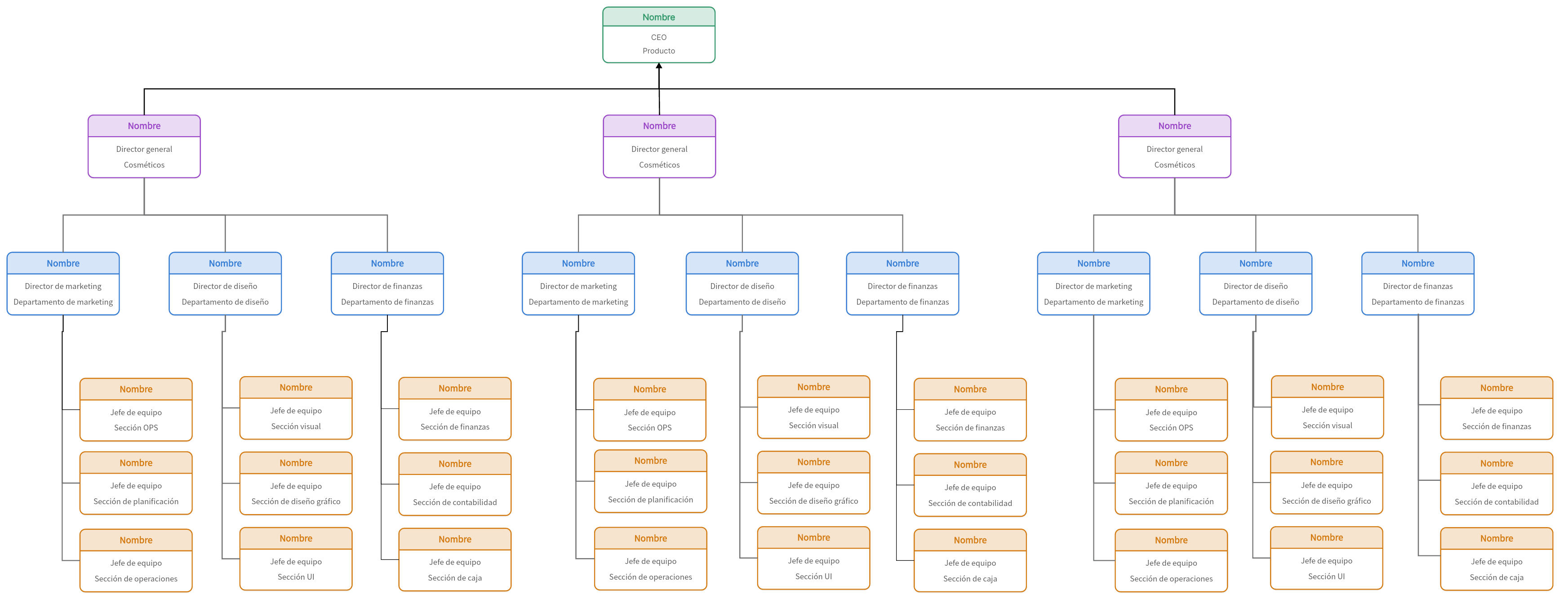 Organigrama divisional