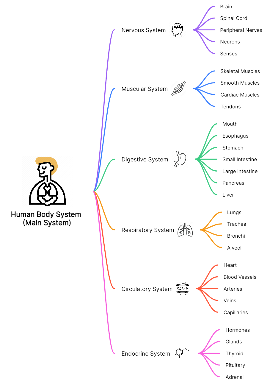 Theories Comprehension