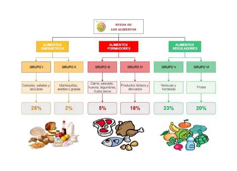 example 1 hierarchy diagram