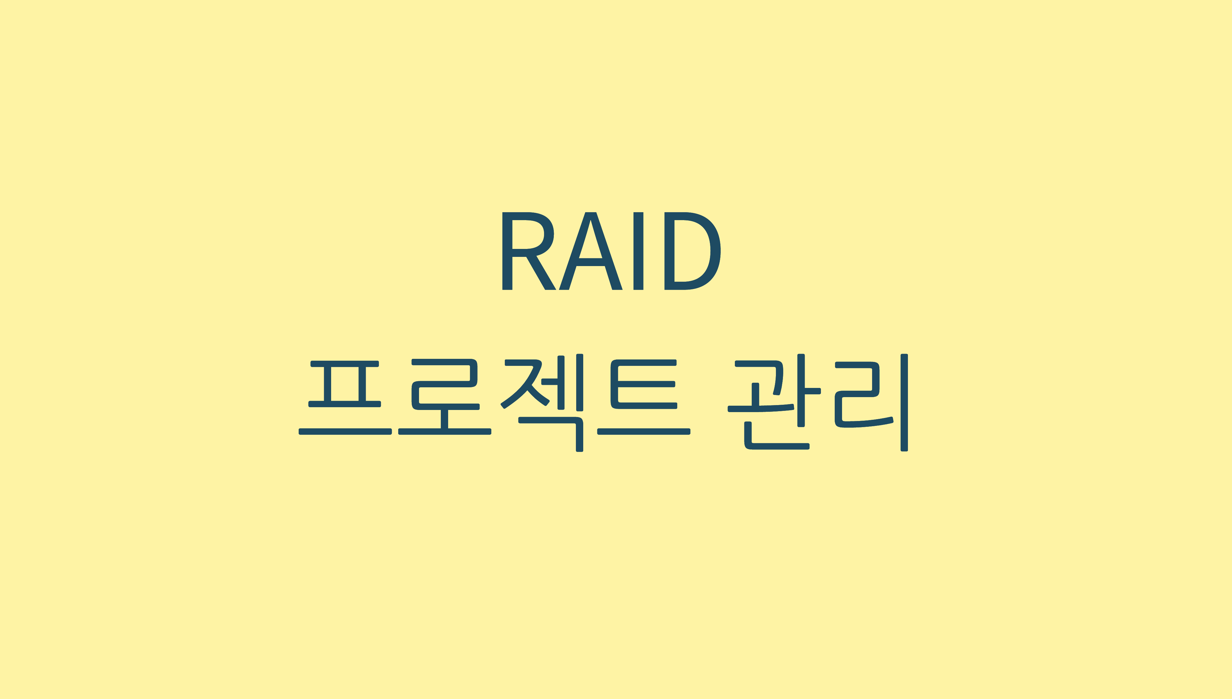 RAID 프로젝트 관리 raid1